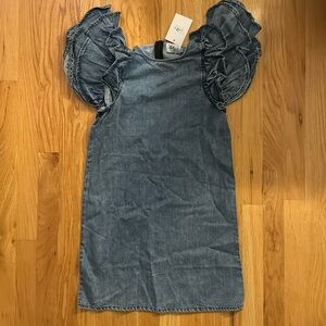 NWT! Denim ruffle sleeved dress from Lola + the boys